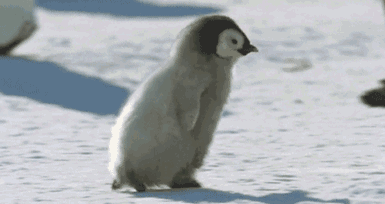 河南任性直降13℃！速凍模式已開(kāi)啟！