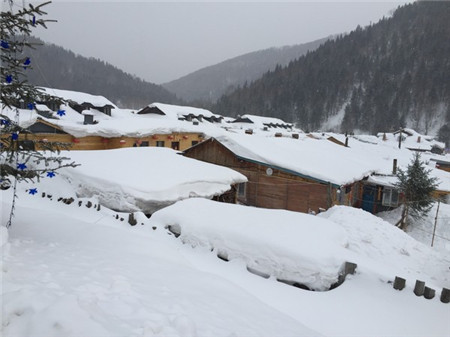 原來河南大雪過后這么美